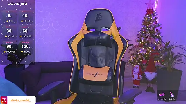 Snapshot of Elishka_ chatting on 12.28.24 Elishka online show from 12.28.24