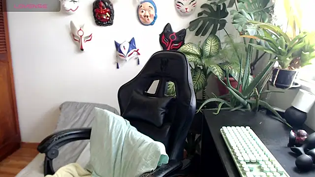 cat salo online show from 11.22.25