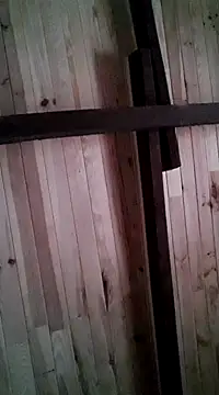 Snapshot of davigochi77bcn chatting on 03.06.25 davigochi77bcn online show from 03.06.25