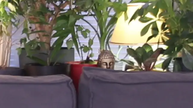 Snapshot of Lily_minx chatting on 11.13.25 Lily minx online show from 11.13.25