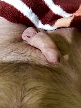 Robertvirt online show from 02.16.26