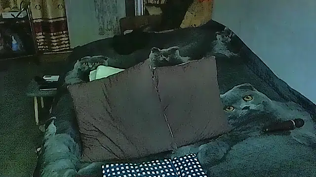 sex2 online show from 09.29.25