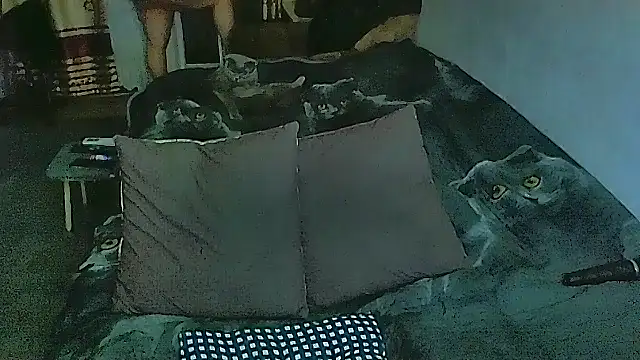 sex2 online show from 02.28.26