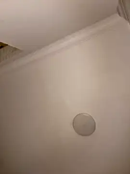 Drkats online show from 03.18.26