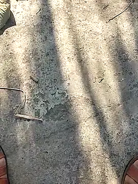 Pitercom online show from 11.12.25