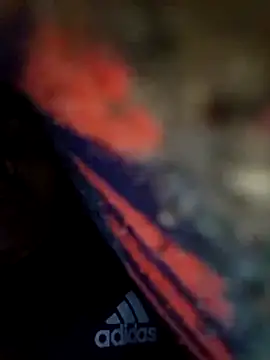 Pitercom online show from 02.12.26