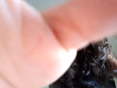 Snapshot of Abysparadise chatting on 11.11.25 Abysparadise online show from 11.11.25