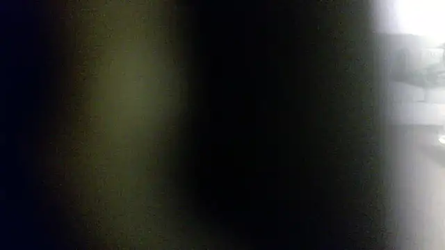 palidin1 online show from 02.01.26