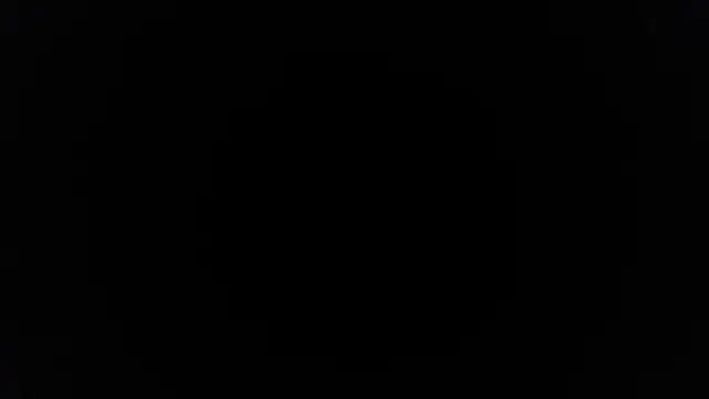 palidin1 online show from 04.20.26