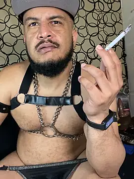 the master foal  online show from 03.07.26