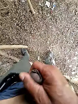 Snapshot of breejs chatting on 10.23.25 breejs online show from 10.23.25