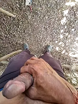 Snapshot of breejs chatting on 11.15.25 breejs online show from 11.15.25