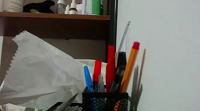 Sangelll online show from 01.11.25