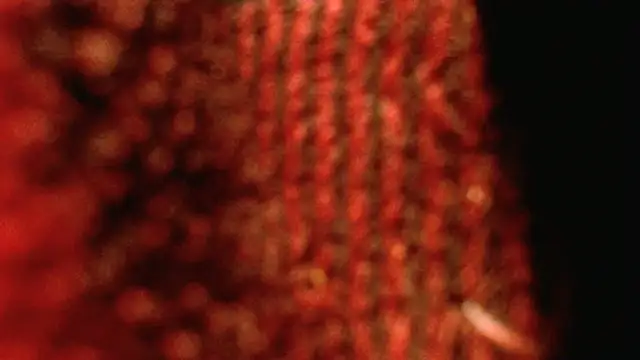 Snapshot of rockhead1971 chatting on 10.18.25 rockhead1971 online show from 10.18.25