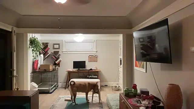 dreamyriri online show from 03.15.26