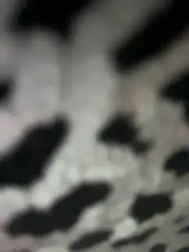 Sarita-candy online show from 01.31.25