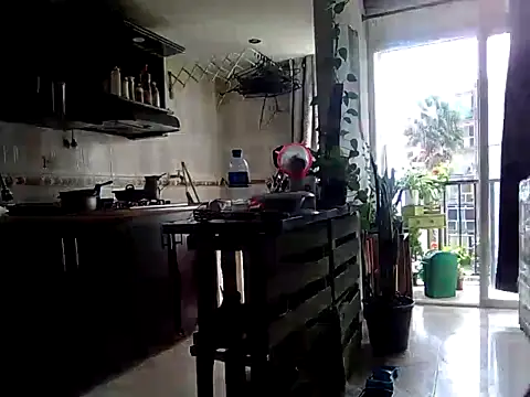 Snapshot of Diosasky chatting on 09.12.25 Diosasky online show from 09.12.25