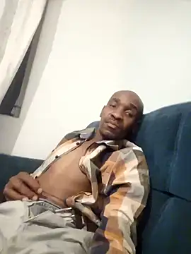 Dibobo4 online show from 04.10.26