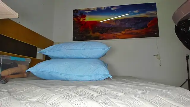 Snapshot of _ebony-queen_ chatting on 02.28.25 ebony-queen online show from 02.28.25