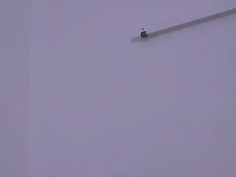 Snapshot of BustyMadison chatting on 11.13.25 BustyMadison online show from 11.13.25