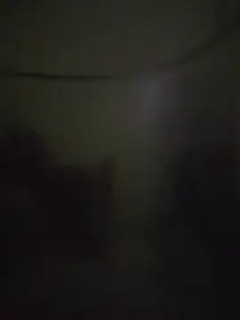 landy20cm online show from 10.16.25