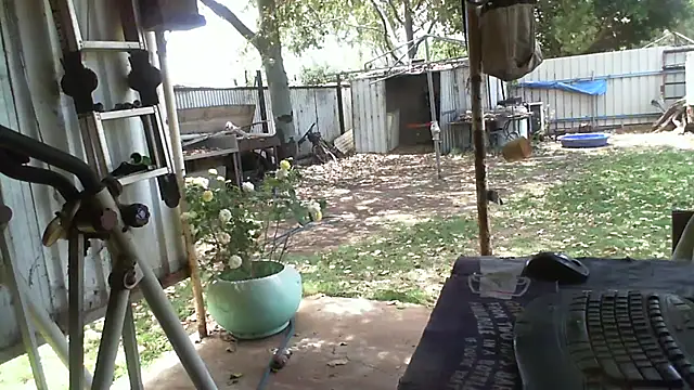 herbie010666 online show from 10.12.25