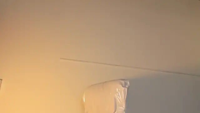 lauren fit online show from 03.25.26