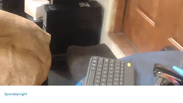 Spundaynightxh online show from 02.12.25