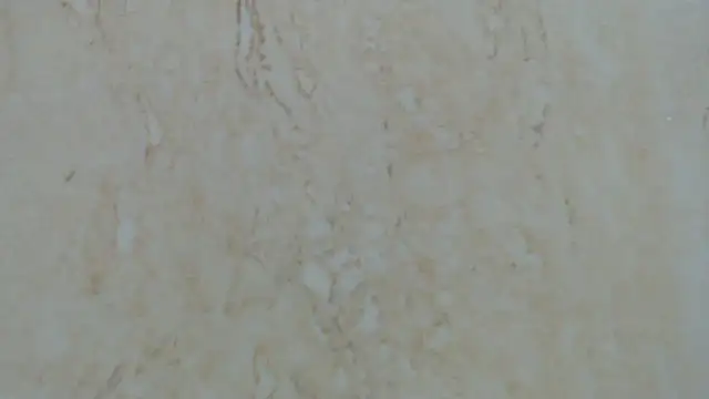 Crazy team  online show from 12.29.24