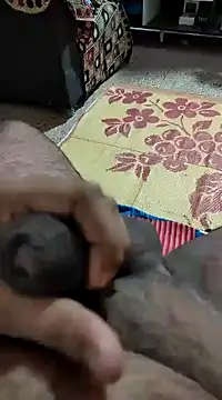 Swift2006 online show from 02.11.25