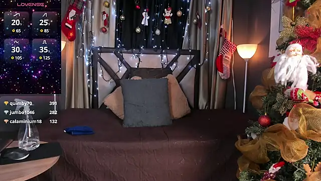 Snapshot of stelleknox_ chatting on 12.26.24 stelleknox online show from 12.26.24