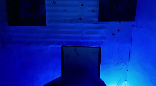 bbygrl Carol online show from 01.05.25