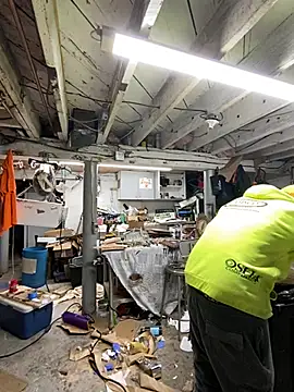 Snapshot of charactrzero chatting on 01.04.25 charactrzero online show from 01.04.25