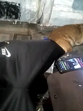 Wero4200 online show from 03.13.26