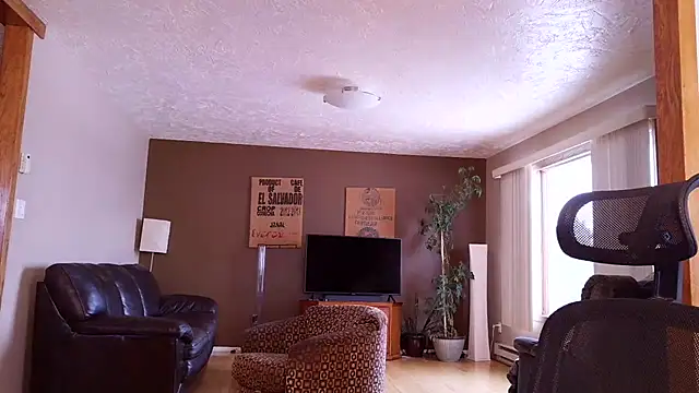 BasicAnt online show from 03.17.26