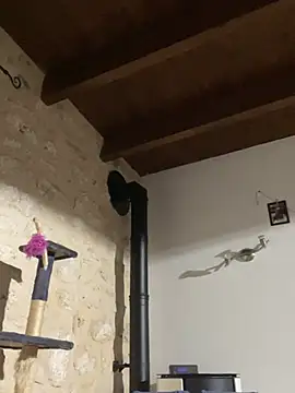 steph19x5 online show from 12.27.24