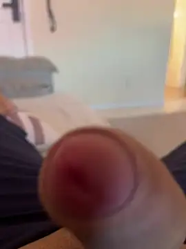 dustbor online show from 01.11.26