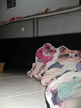 Van3orgasm4me online show from 02.13.26