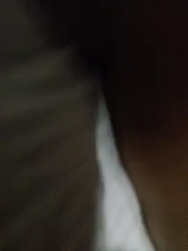 Taniyakuma online show from 12.24.24