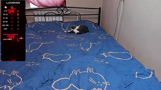 Snapshot of eva_zero chatting on 11.03.25 eva zero online show from 11.03.25