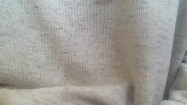 Snapshot of OralDesires2 chatting on 02.17.25 OralDesires2 online show from 02.17.25