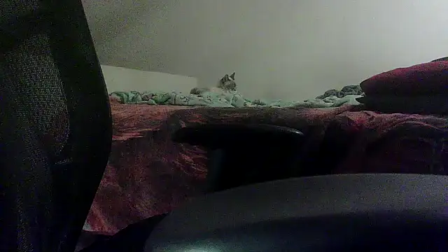 Snapshot of OralDesires2 chatting on 02.19.25 OralDesires2 online show from 02.19.25