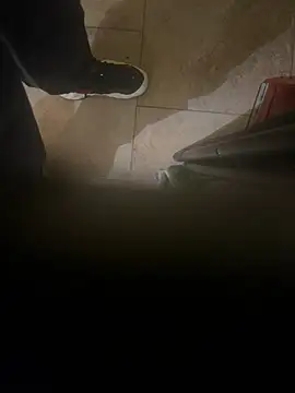 Snapshot of dingoding chatting on 01.08.25 dingoding online show from 01.08.25