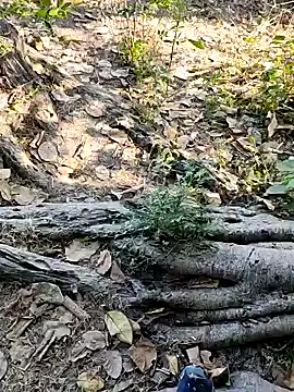 Snapshot of Rinku5553 chatting on 02.02.25 Rinku5553 online show from 02.02.25