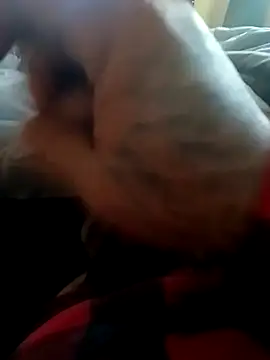 Snapshot of yellowwetfox chatting on 11.22.25 yellowwetfox online show from 11.22.25