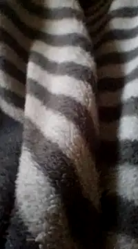 Snapshot of Lachezar12 chatting on 02.16.25 Lachezar12 online show from 02.16.25