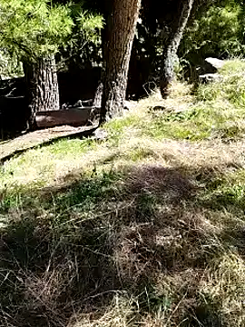 Snapshot of K-27 chatting on 10.04.25 K-27 online show from 10.04.25