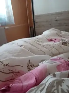 vena4 online show from 04.11.26