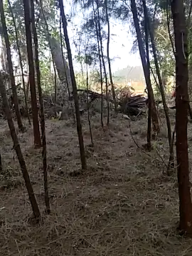 Gopal1243 online show from 02.26.25