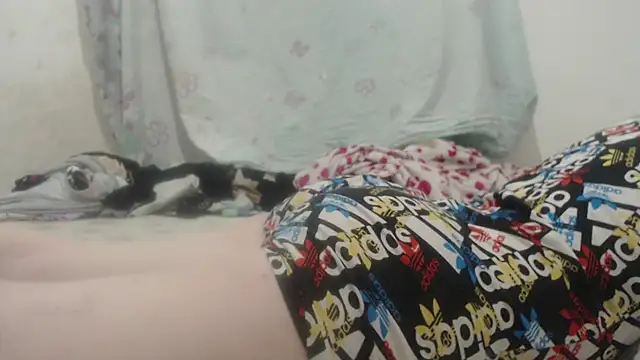 Kittywhiteass online show from 03.16.25